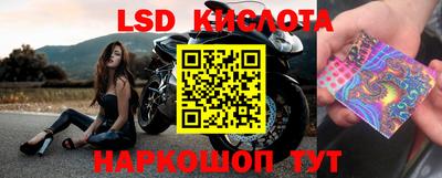 гидропоника Славянск-на-Кубани