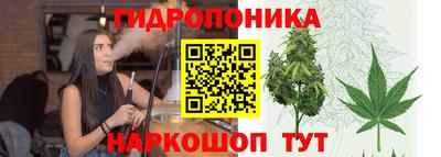 мяу мяу мука Сланцы